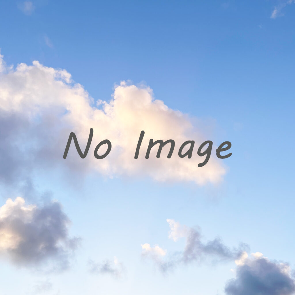 No Image（画像はありません）